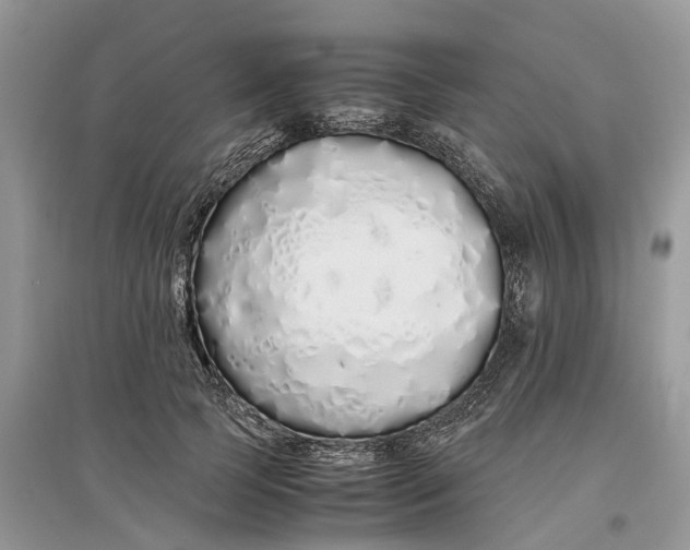 X0000097300745200803071752