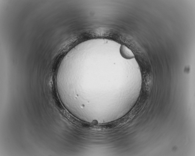 X0000097300746200803071752