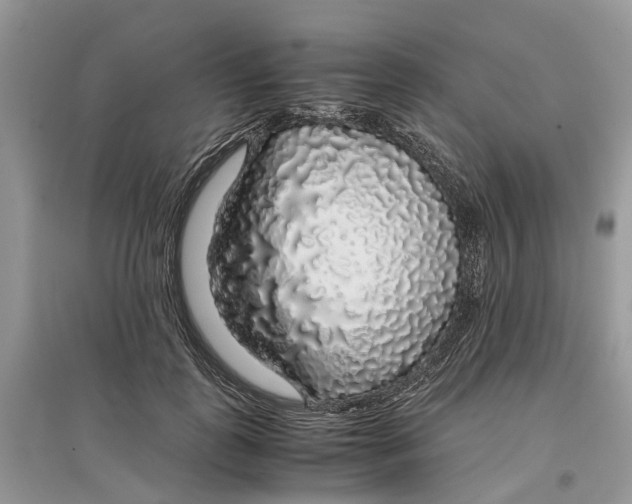 X0000097300747200803071752