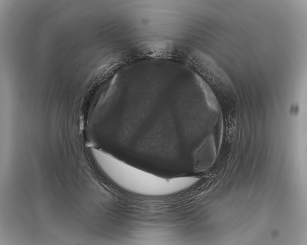 X0000097300748200803071752