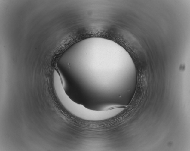 X0000097300750200803071752