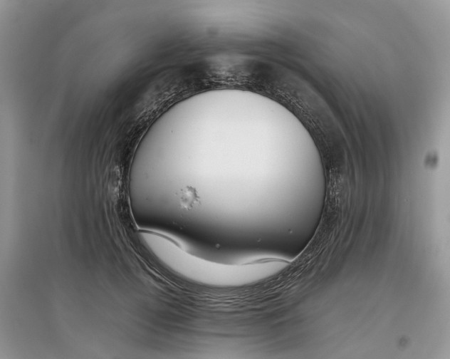 X0000097300752200803071752