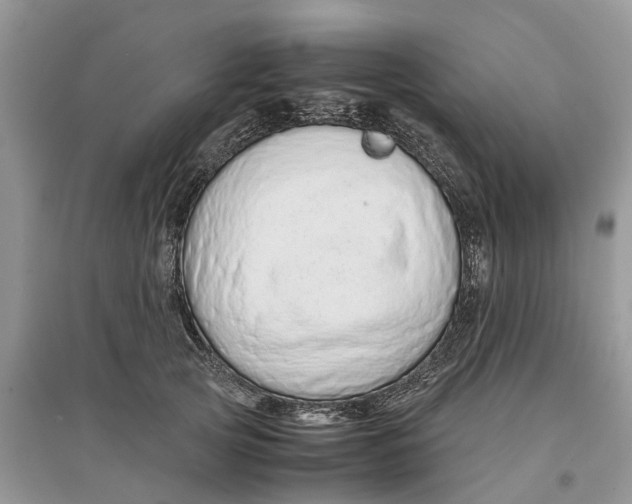 X0000097300753200803071752