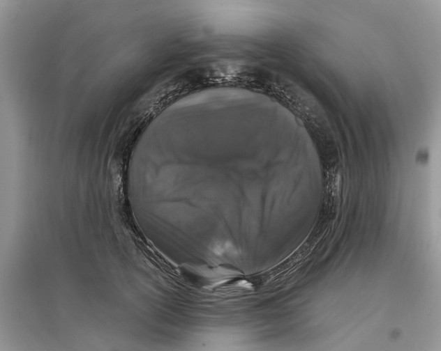 X0000097300754200803071752