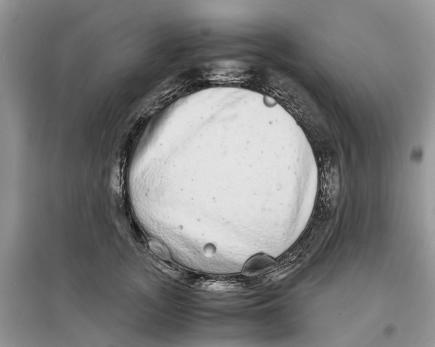 X0000097300755200803071752