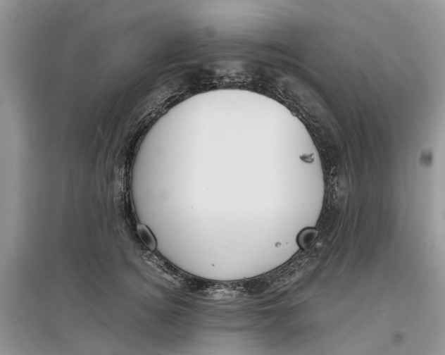 X0000097300756200803071752