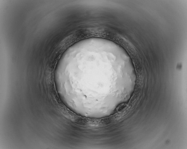 X0000097300757200803071752