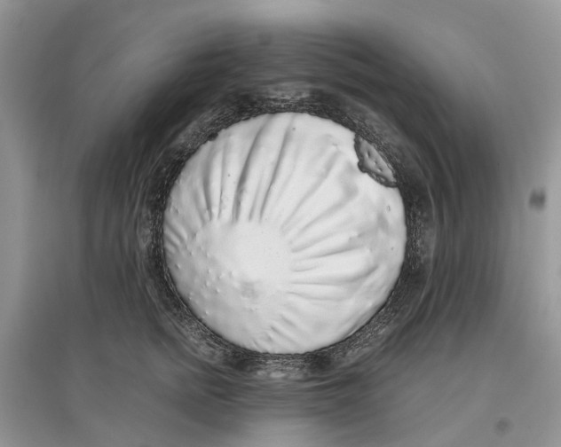 X0000097300758200803071752