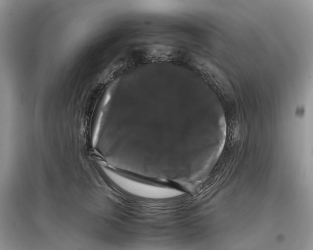 X0000097300759200803071752