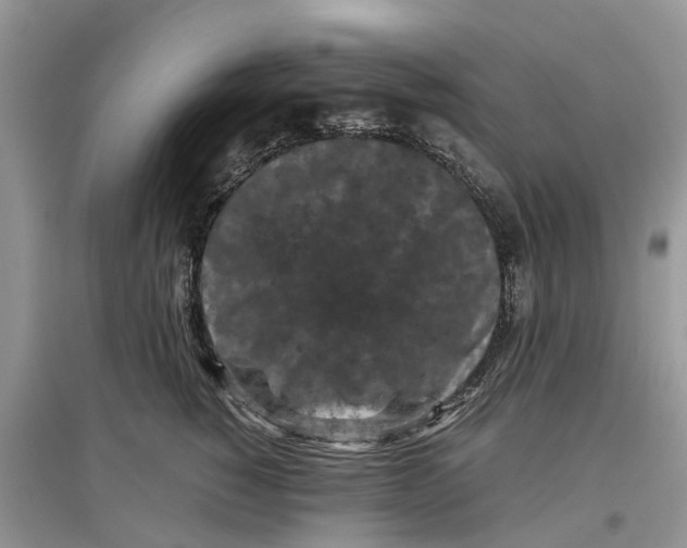 X0000097300760200803071752