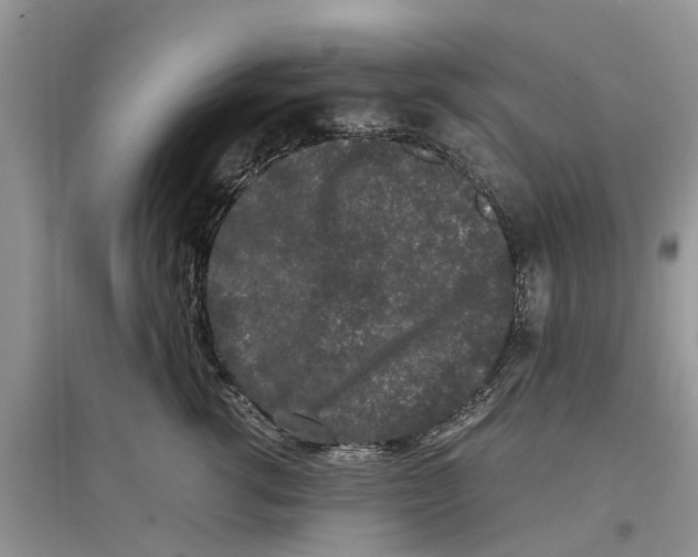 X0000097300762200803071752