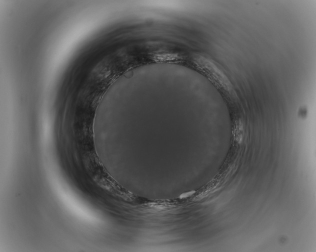 X0000097300763200803071752