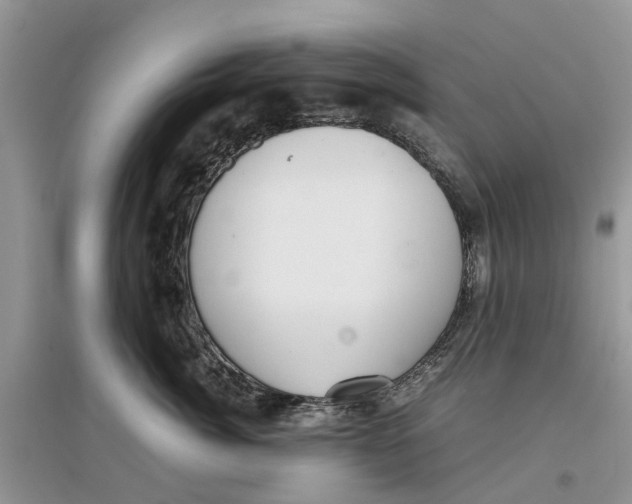 X0000097300764200803071752