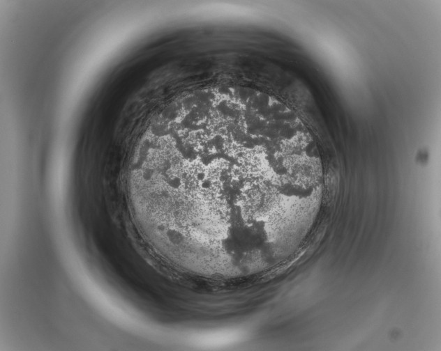 X0000097300765200803071752