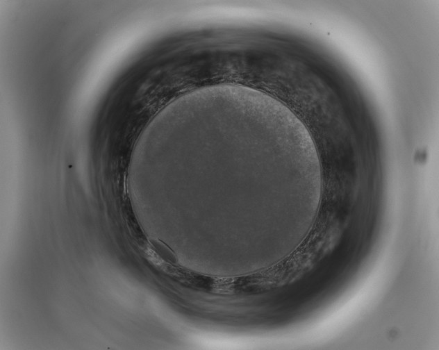 X0000097300766200803071752