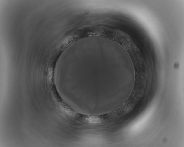 X0000097300767200803071752