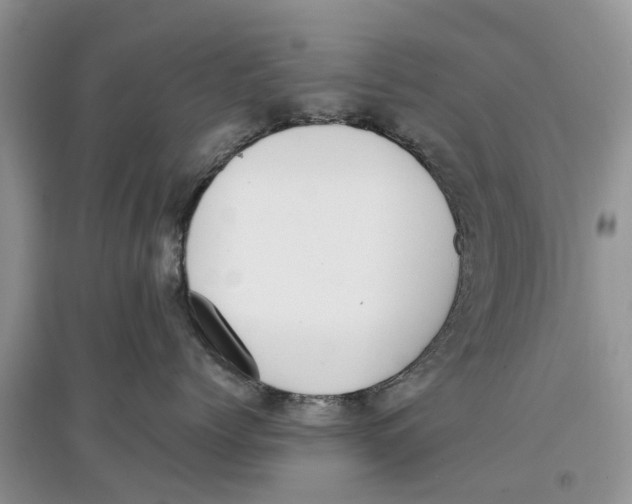 X0000097300768200803071752