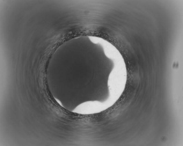 X0000097300769200803071752