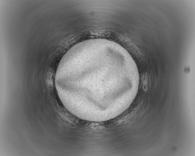 X0000097300770200803071751