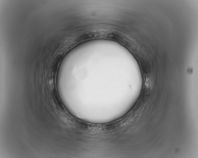 X0000097300771200803071751