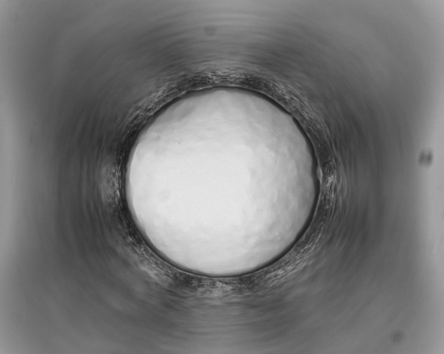 X0000097300772200803071751