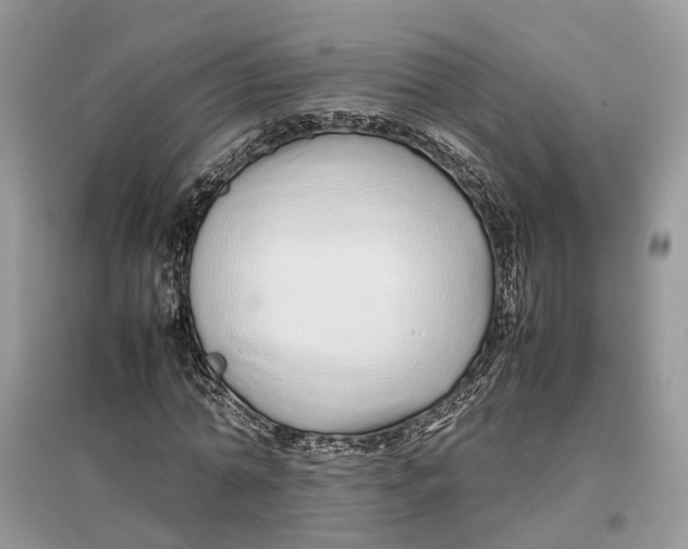 X0000097300774200803071751