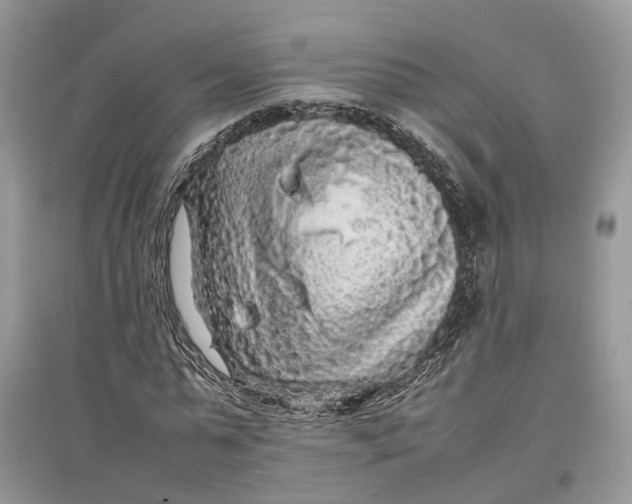 X0000097300775200803071751