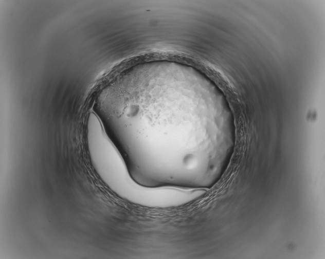 X0000097300776200803071751