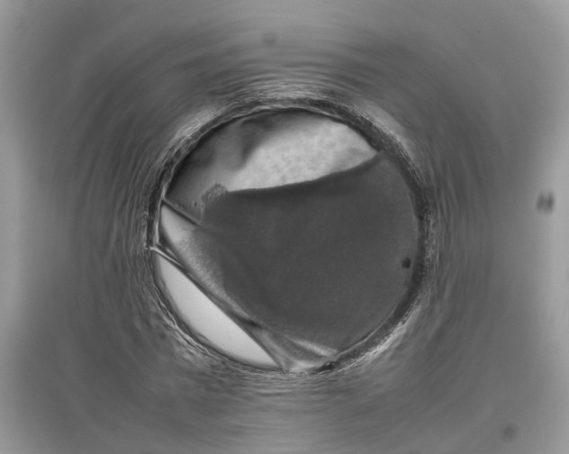 X0000097300777200803071751