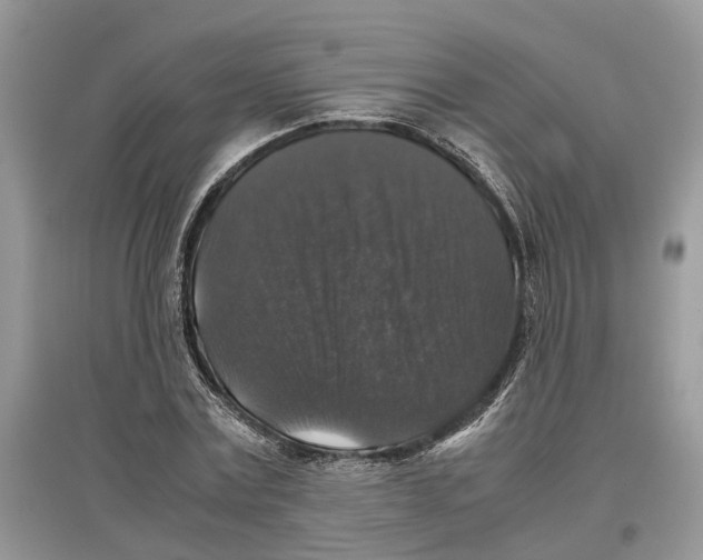 X0000097300779200803071751