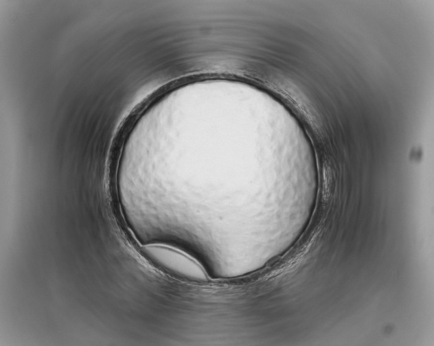 X0000097300780200803071751