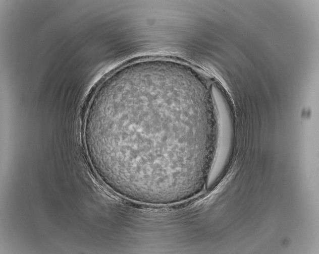 X0000097300781200803071751