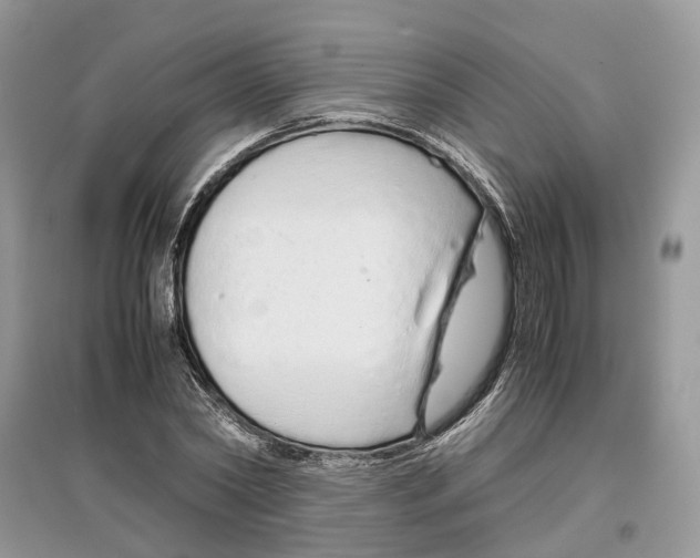 X0000097300782200803071751