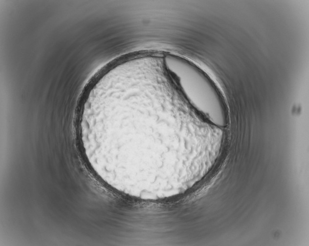 X0000097300783200803071751