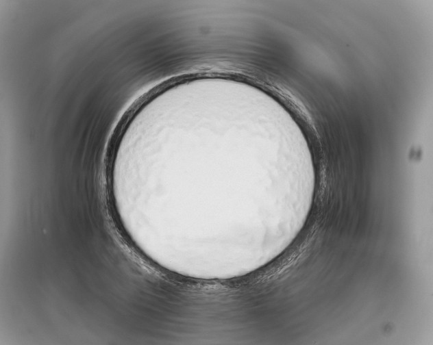 X0000097300784200803071751