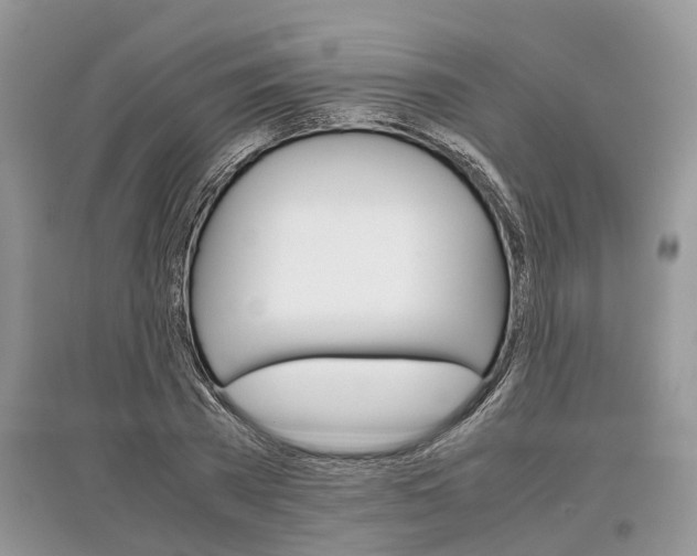 X0000097300785200803071751