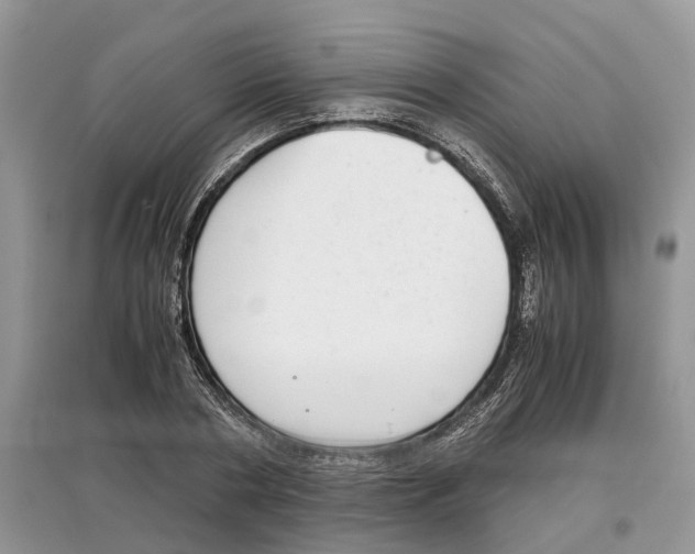 X0000097300786200803071751