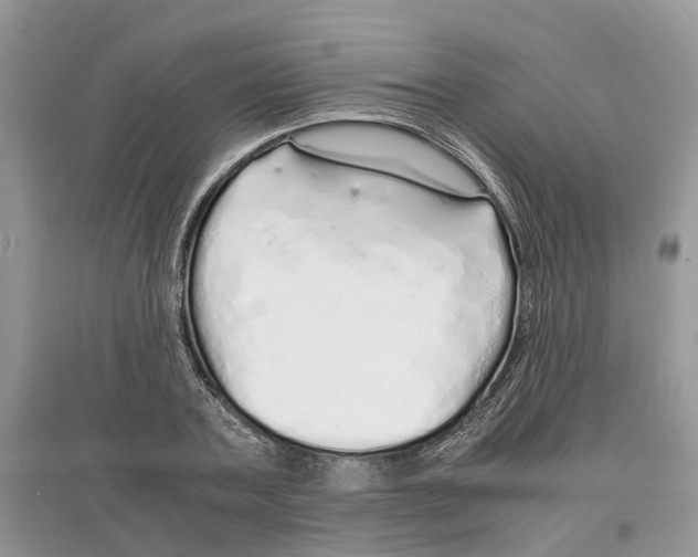 X0000097300787200803071751