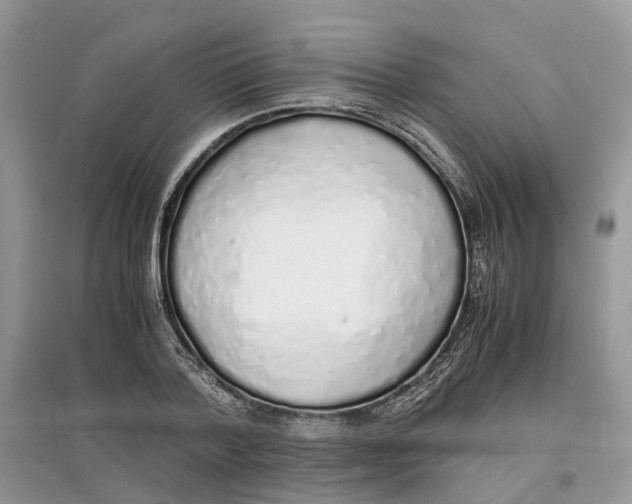 X0000097300788200803071751