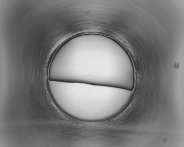 X0000097300789200803071751