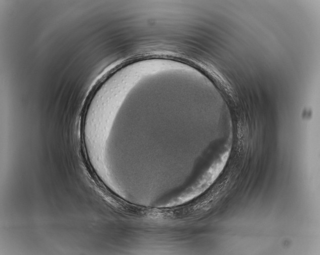 X0000097300790200803071751