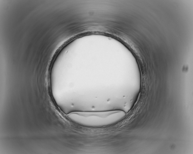 X0000097300791200803071751