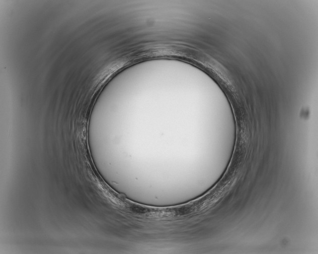 X0000097300793200803071751