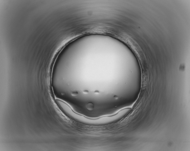 X0000097300795200803071751