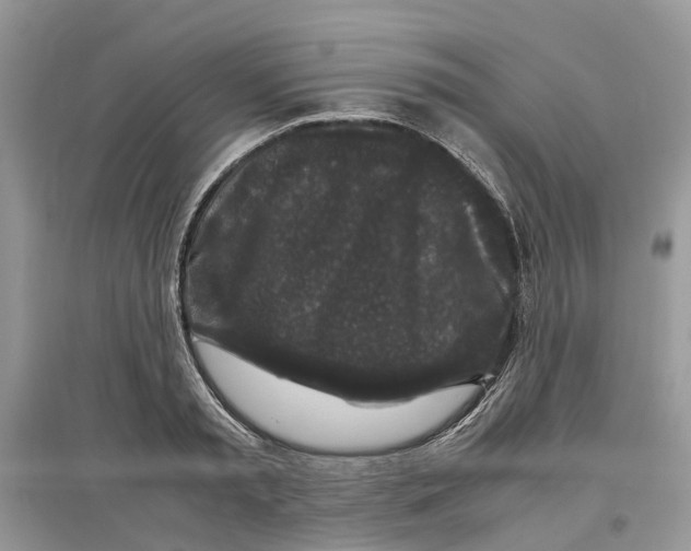 X0000097300797200803071751