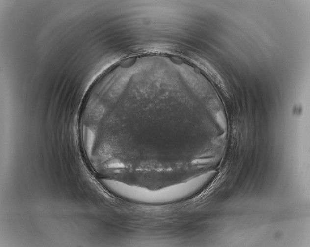 X0000097300798200803071751