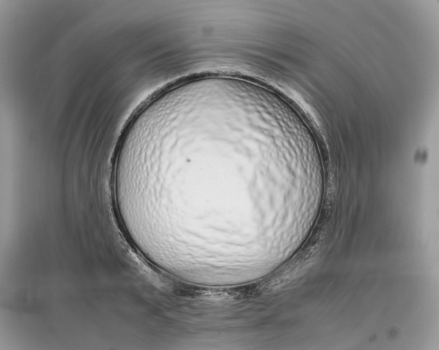 X0000097300799200803071751