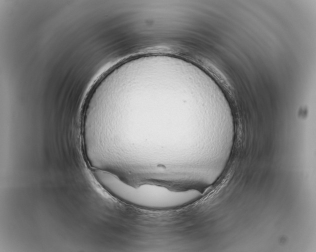 X0000097300800200803071751