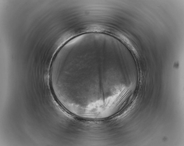 X0000097300802200803071751