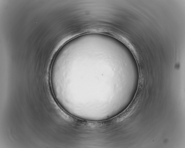 X0000097300803200803071751